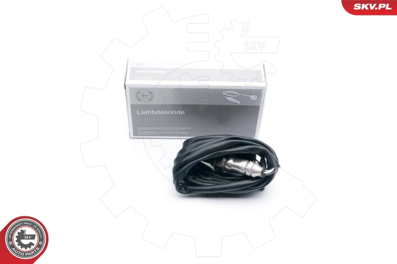 Oxygen Sensor
